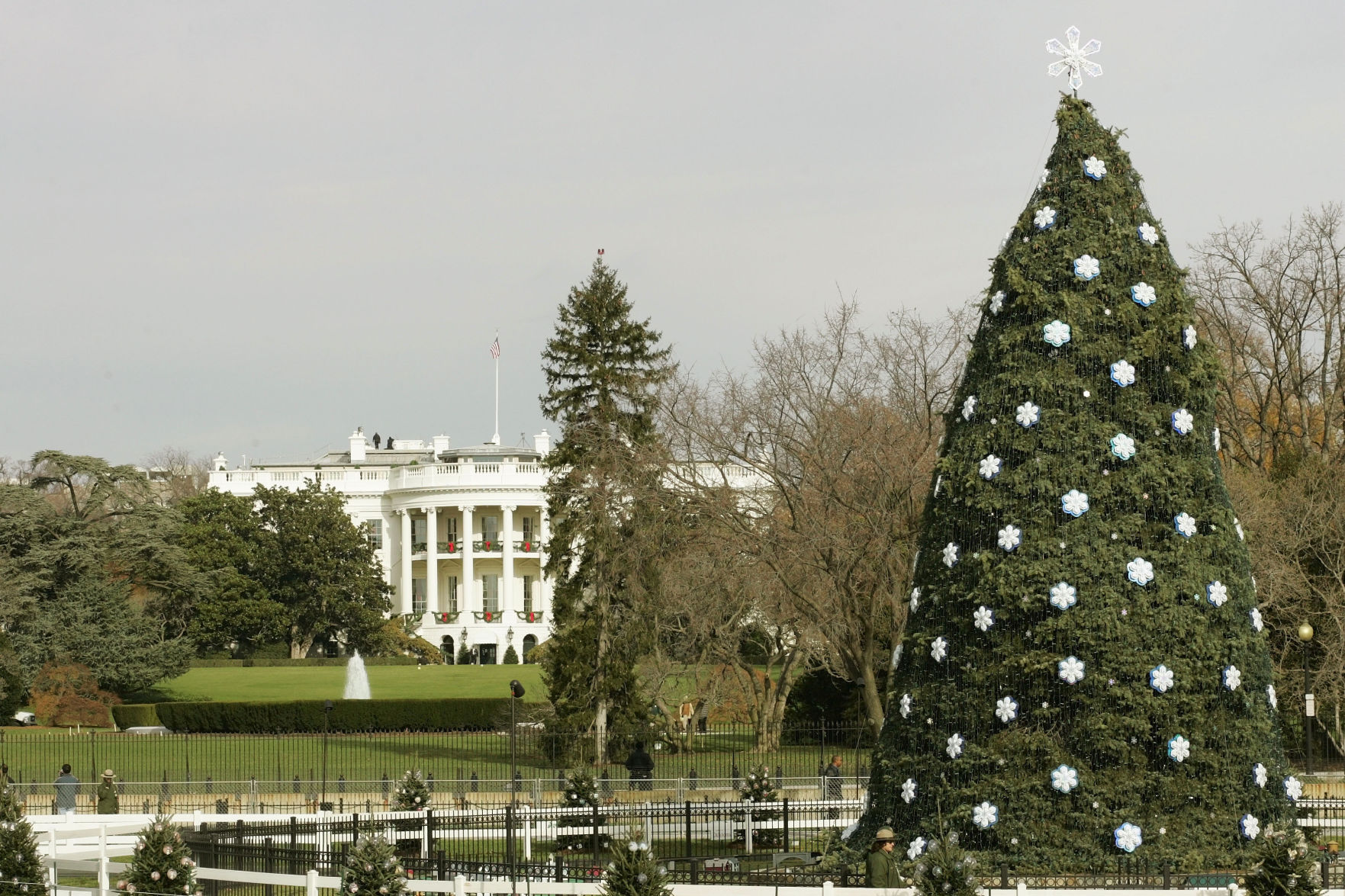BUSH NATIONAL CHRISTMAS TREE